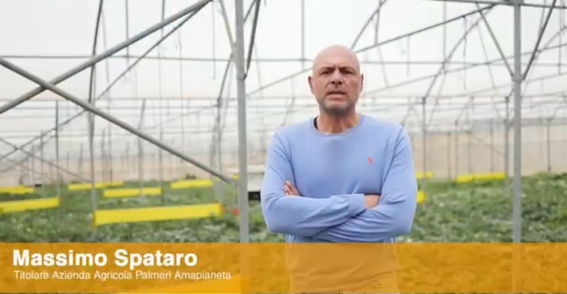 Massimo Spataro, responsabile dell’Azienda Agricola Palmeri Amapianeta, con sede a Ispica (Ragusa)